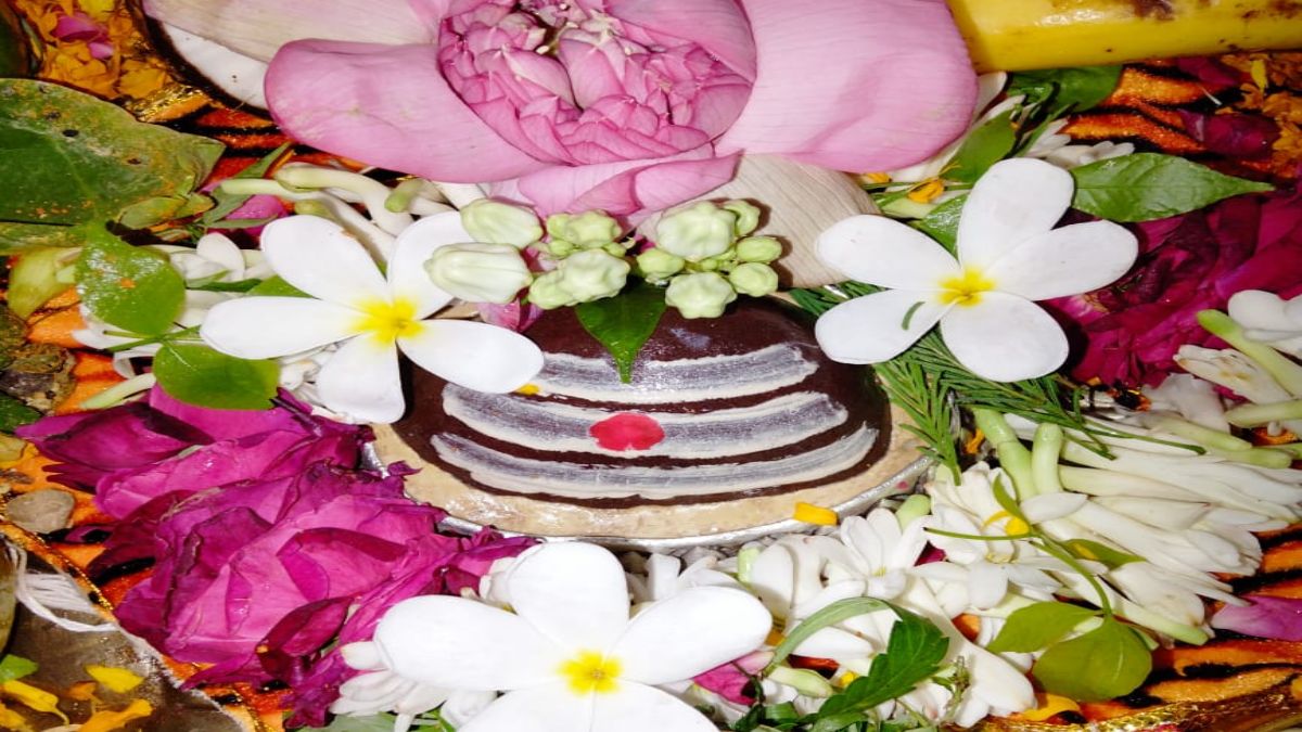 magh shivratri pr bhagwan shiv ko arpit kare ye phool