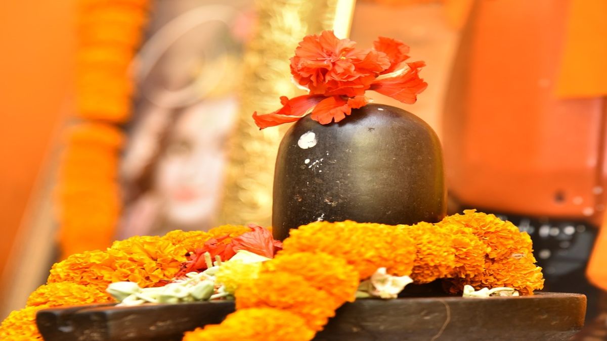 magh shivratri pr bhagwan shiv ko chadhaye ye phool