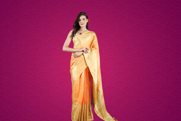 cotton saree designs (5)