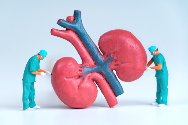 kidney health