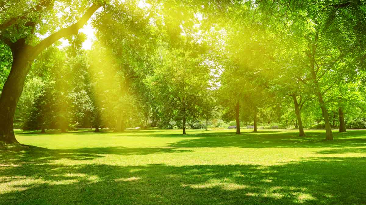 maha kumbh 2025 prayagraj tourist places to visit with kids2