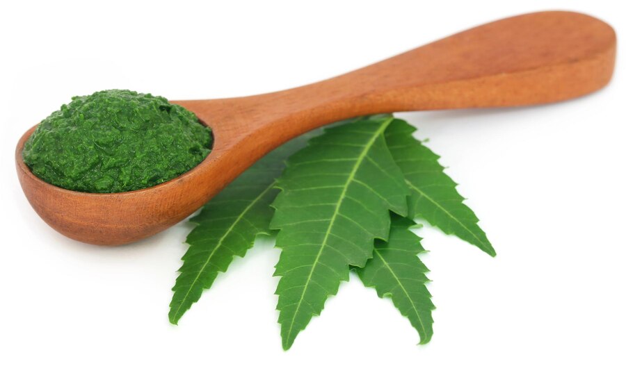 neem leaves