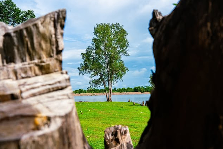 Aurapani In Bilaspur For Travel