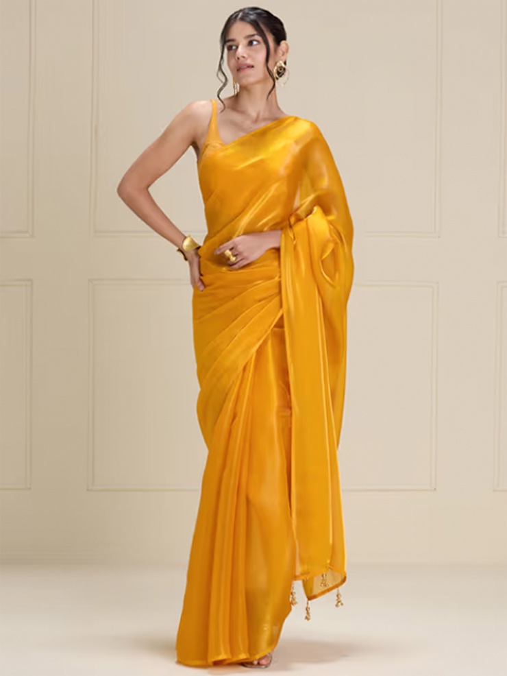 organza saree (2)