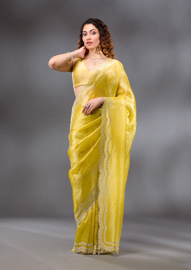 organza saree (3)