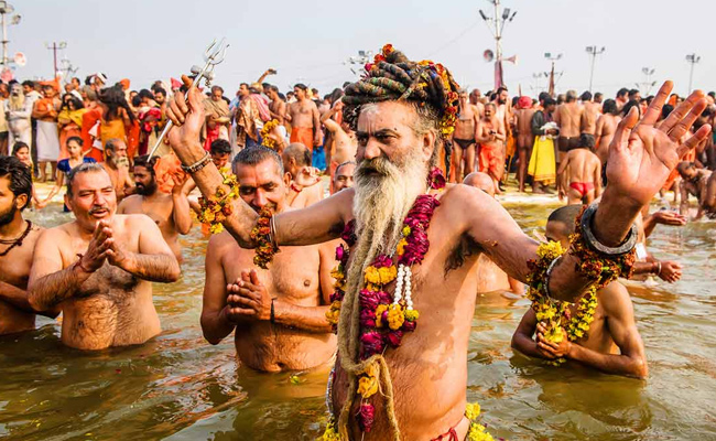 where naga sadhu go after kumbh