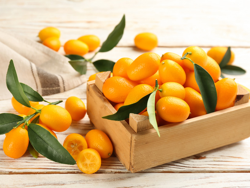what is kumquat and how do you eat in hindi (2)