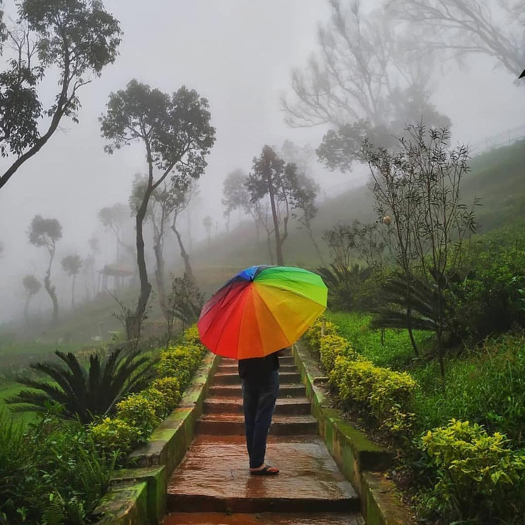 Kemmanagundi Me Ghumane Ki Jagah