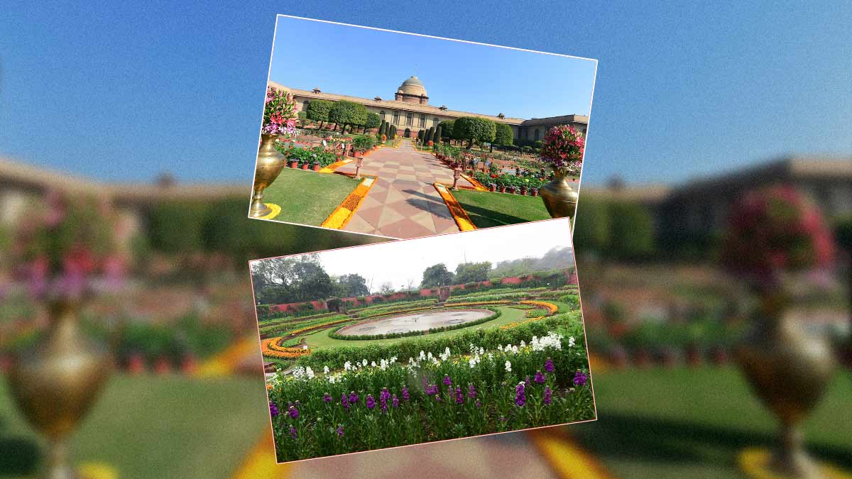 basant panchami 2025 top 5 flower gardens in delhi ncr