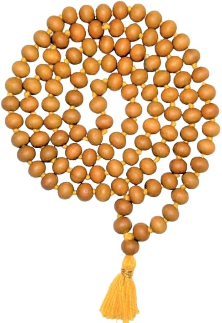 51xKp9jaWZL._AC_UY1100_