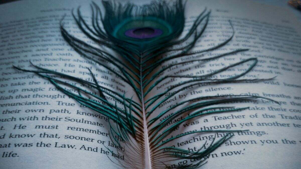 book mein mor pankh rakhne se kya hota hai