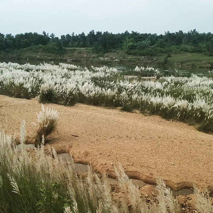 Duarsini For Jharkhand