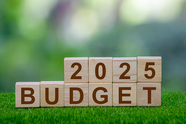 Budget 2025 in hindi