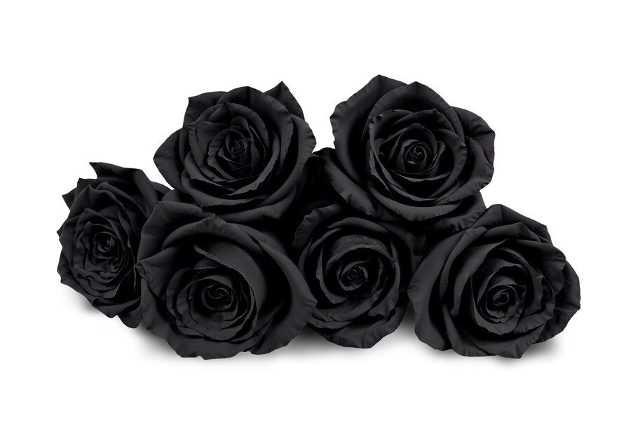 Black roses