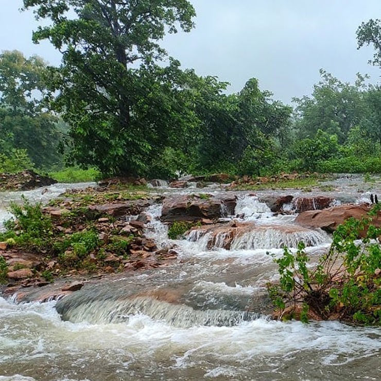 Where Is Ratapani In Madhya Pradesh