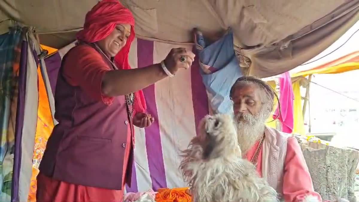maha kumbh mein kaun si teen sevaye karni chahiye