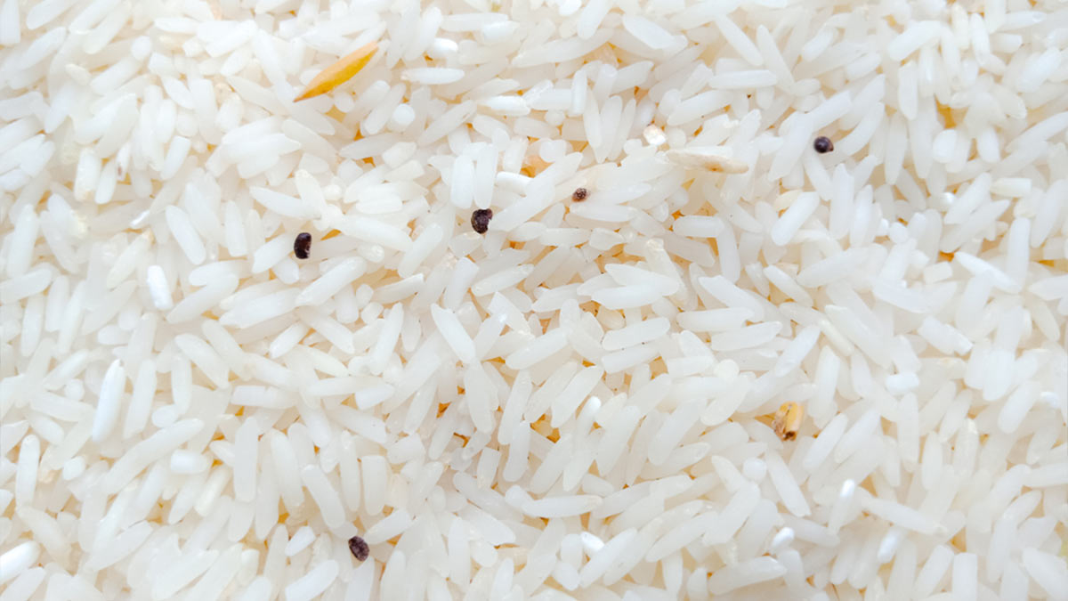 These tricks will save rice from insects