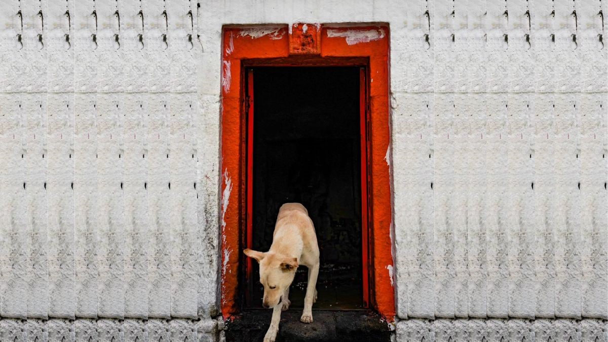 interesting facts about badrinath dham