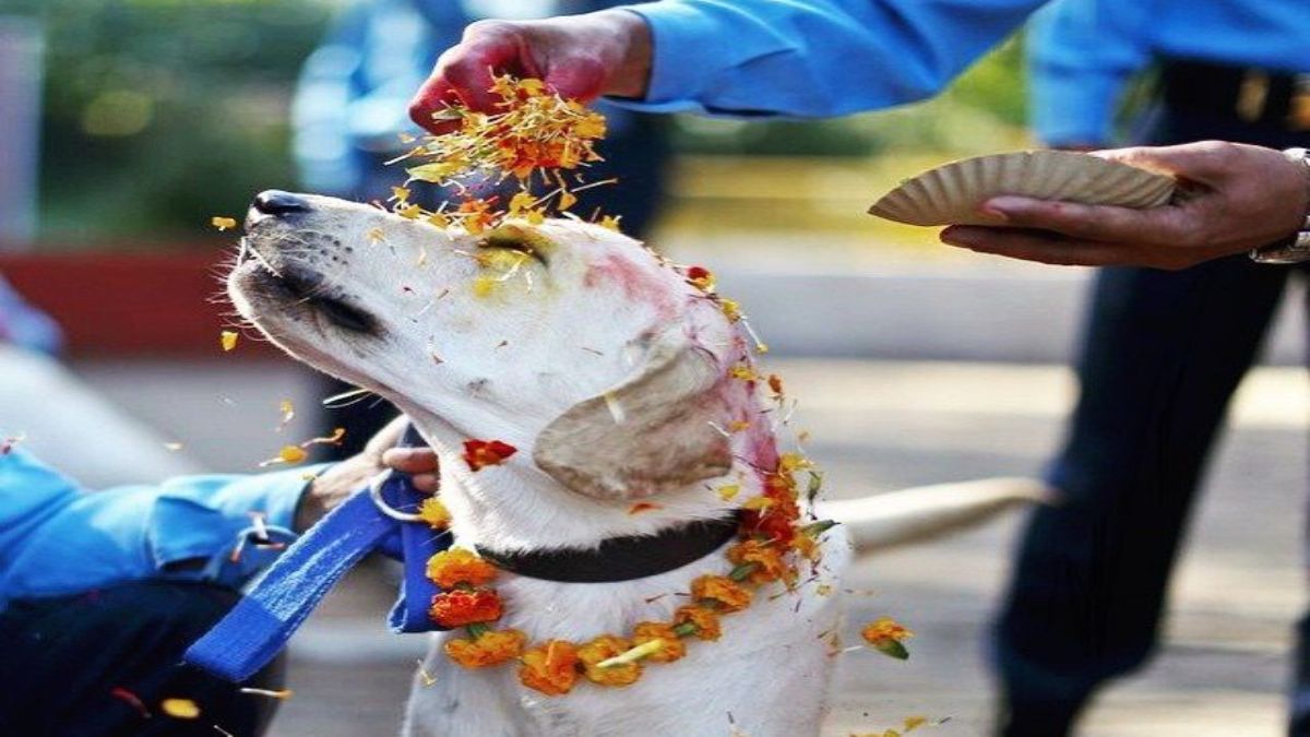 interesting facts of badrinath dham