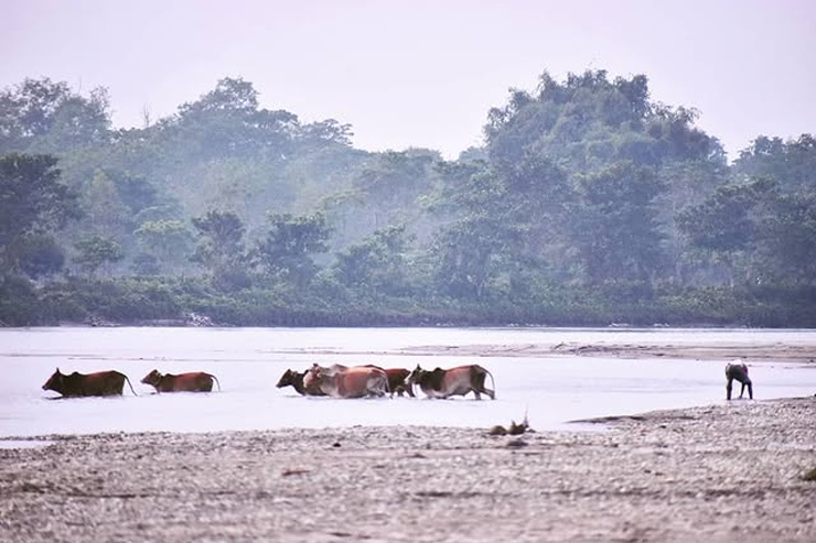 Lataguri Best Places