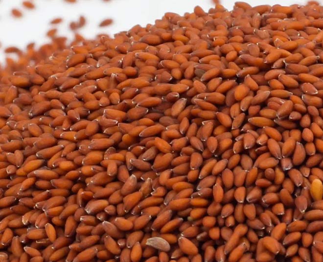 aliv seeds benefits