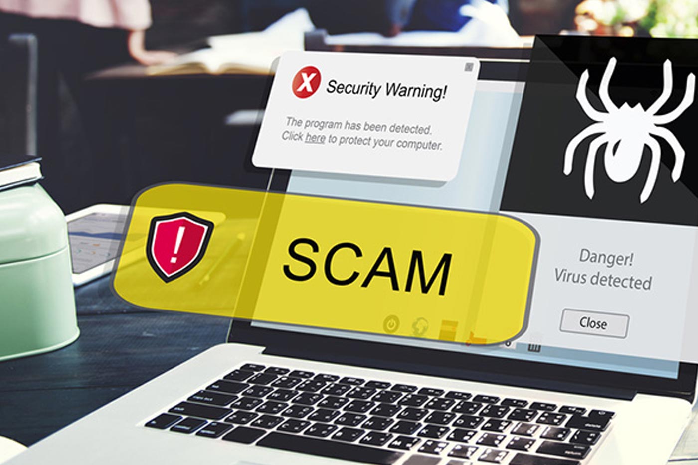 how scammers get your details