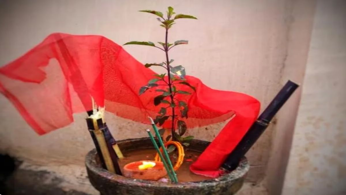 phalgun month 2025 mein kaise kare tulsi puja