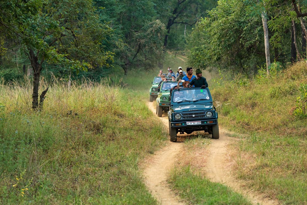 Best Places In  Madhai Village