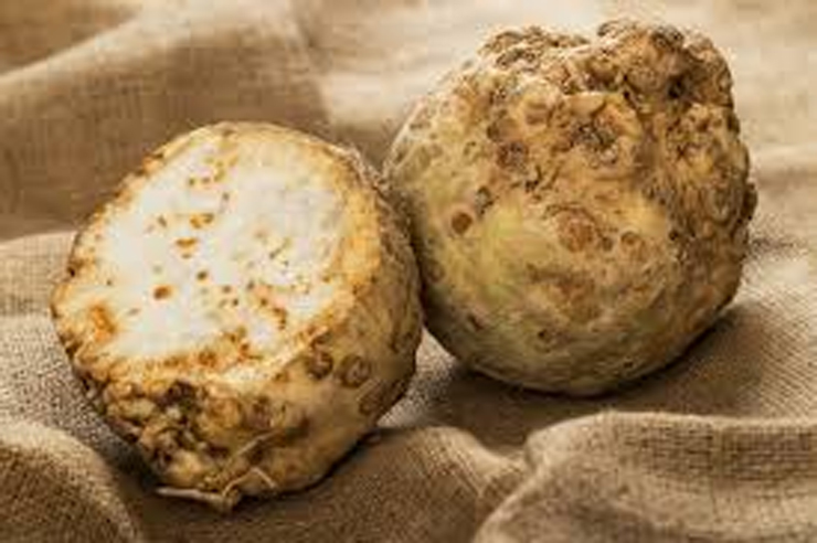 celeriac vegetable about