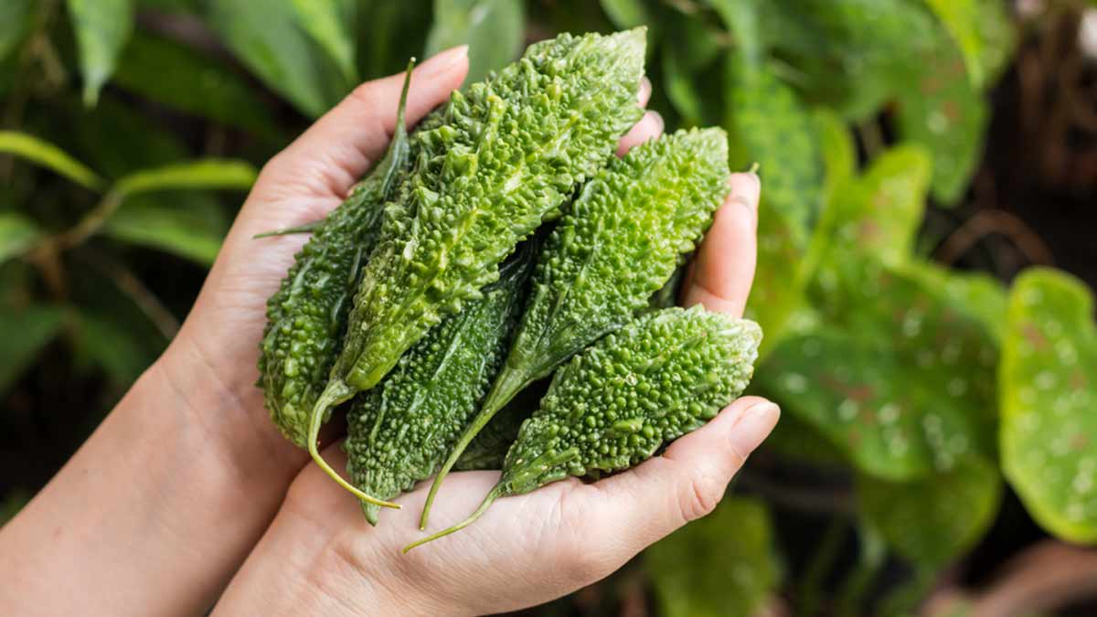 karela for blood sugar level