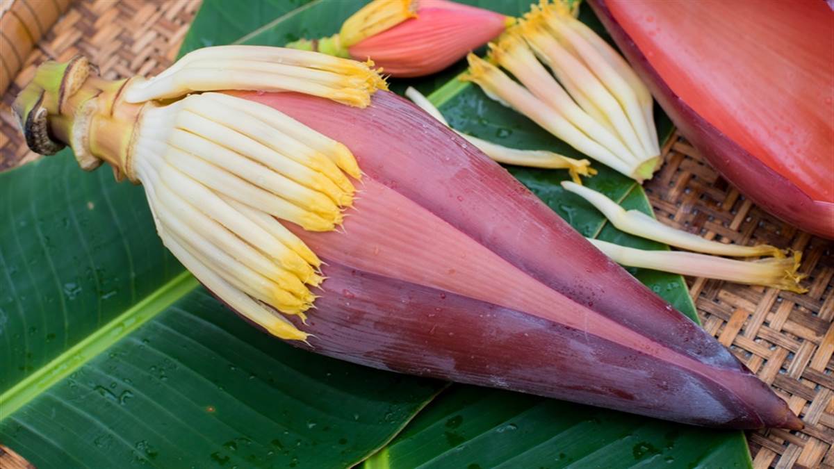21_09_2022-banana_flower