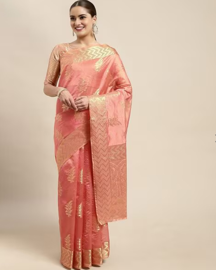 organza saree designs (3)