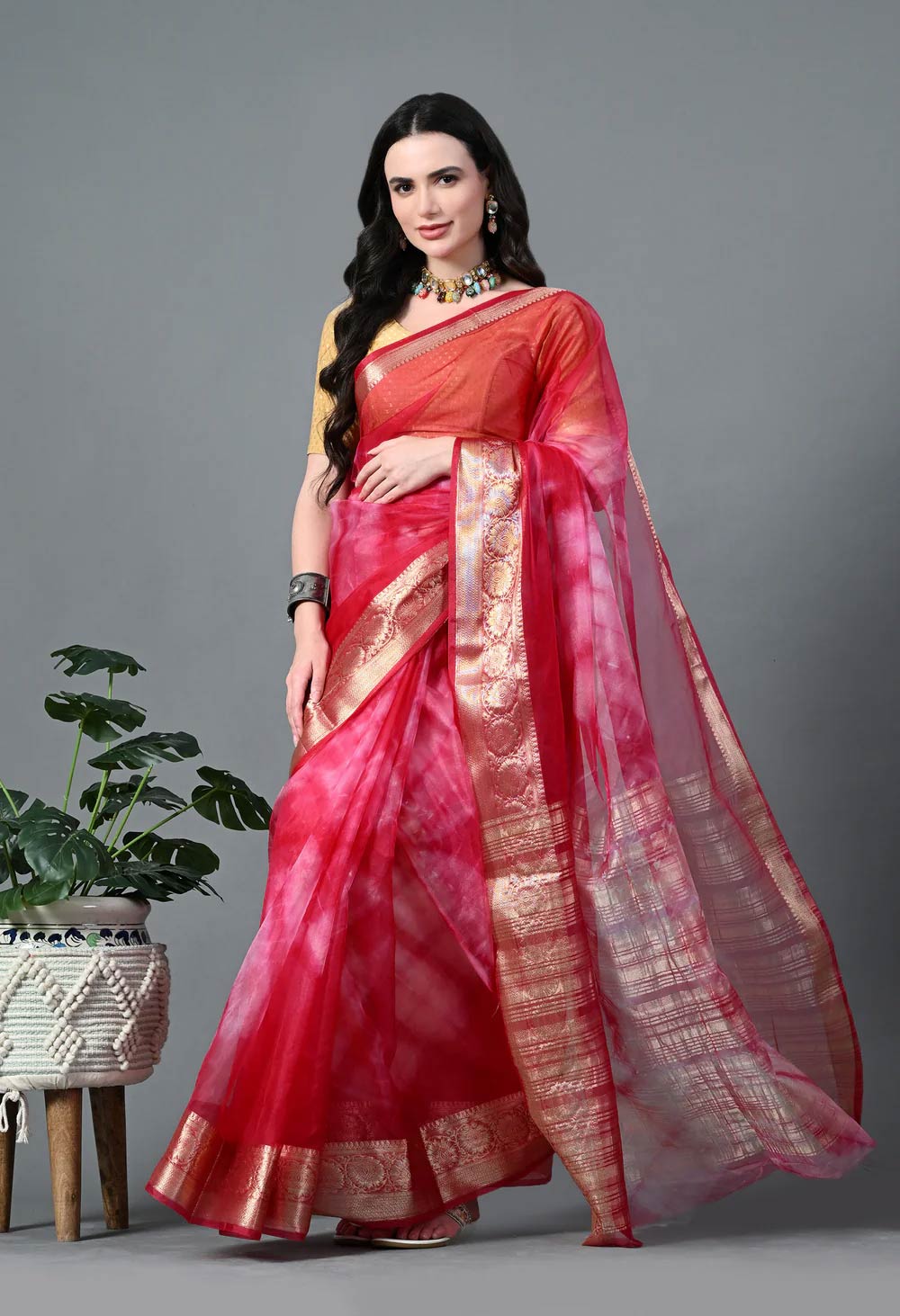organza saree designs (4)