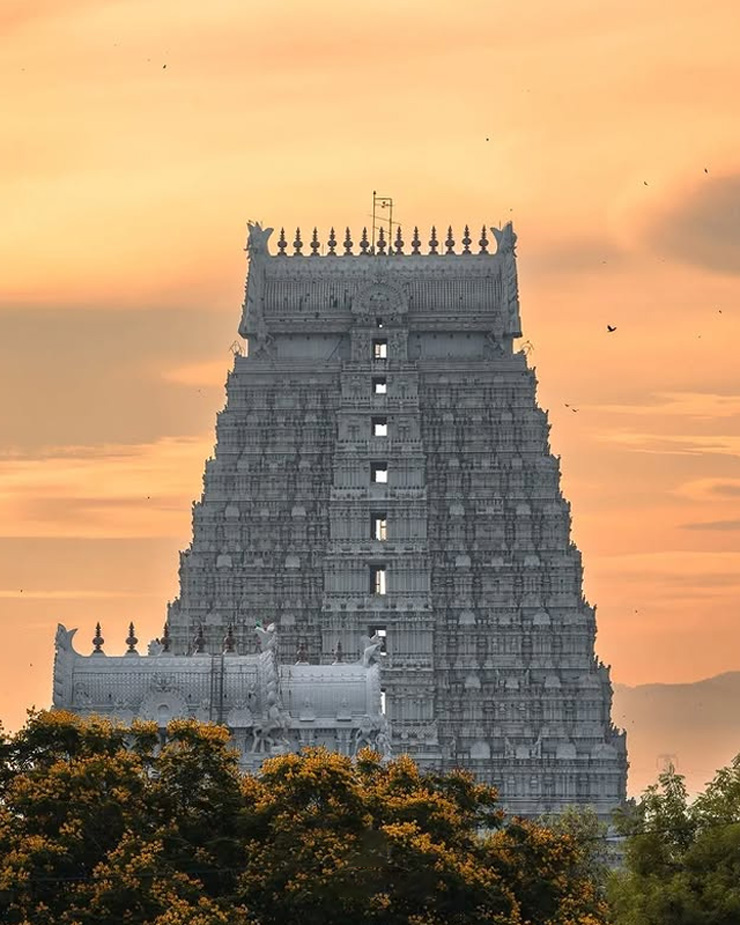Annamalaiyar Temple On Maha Shivaratri