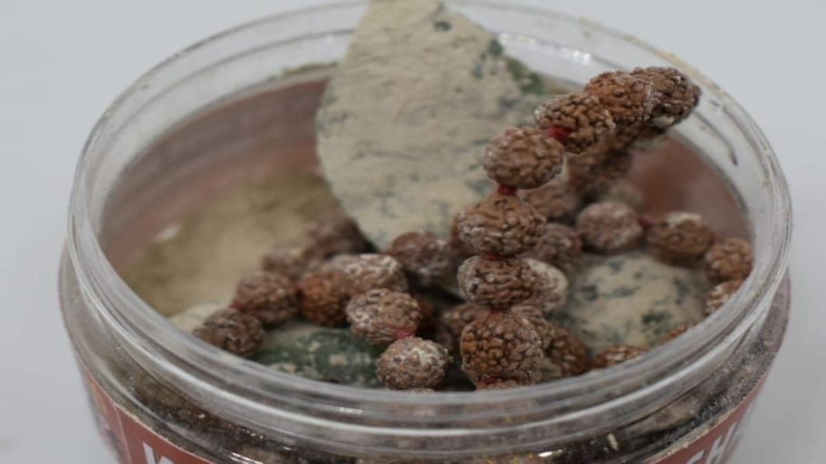 sharir par bhasm lagane se kya hota hai