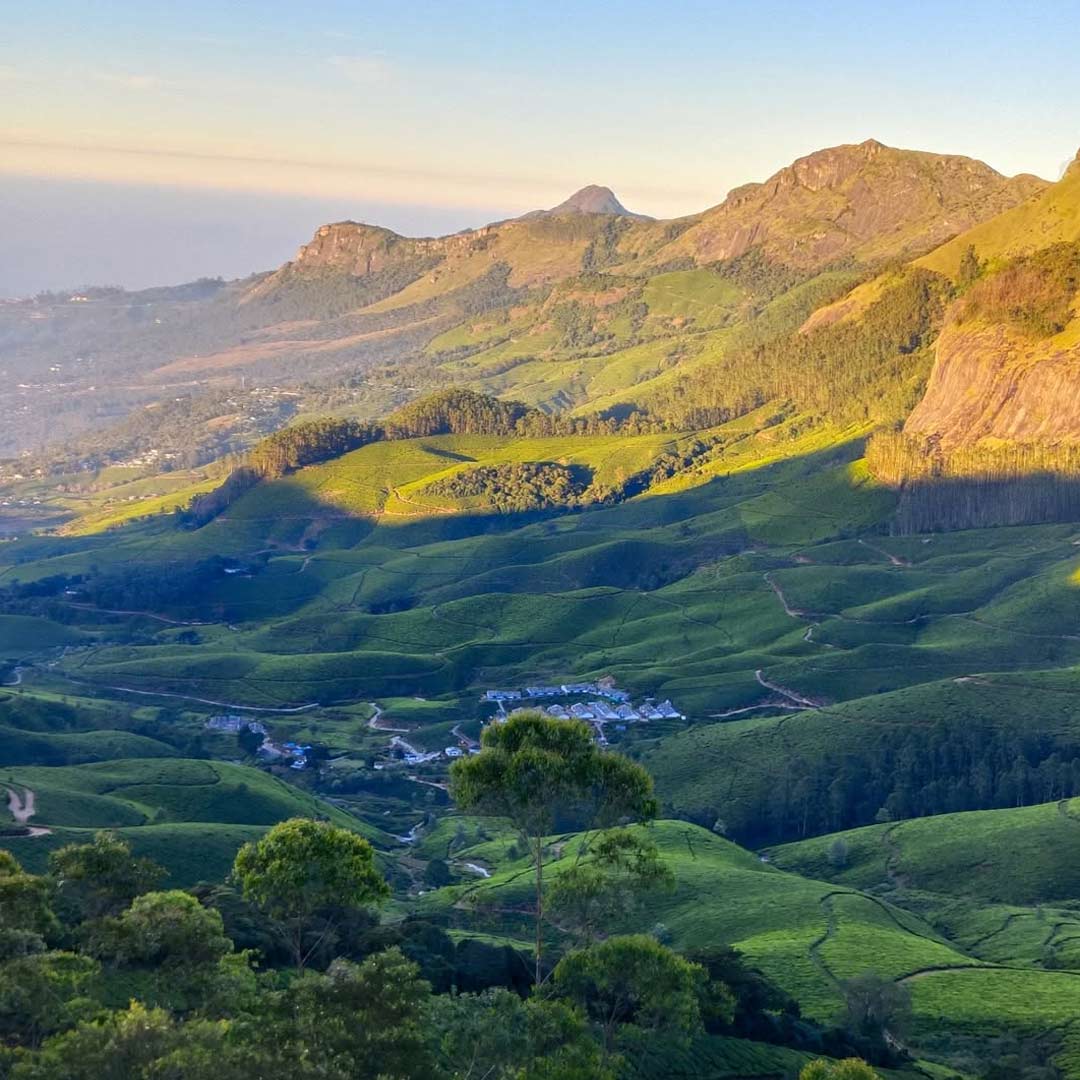 Munnar Me Ghumne Ki Jagah