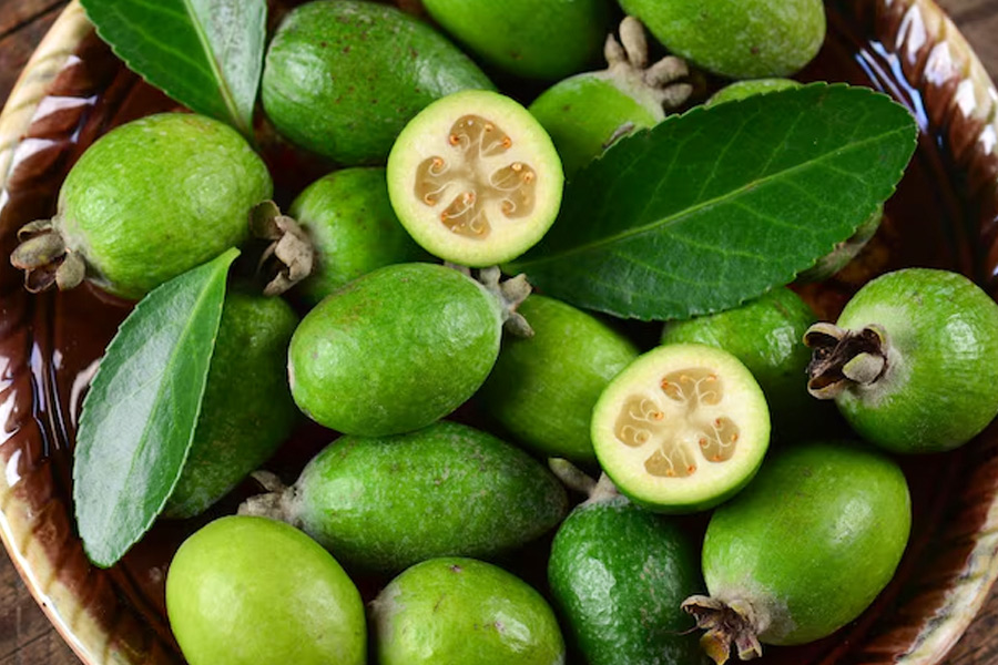 interesting facts about Feijoa Fruit