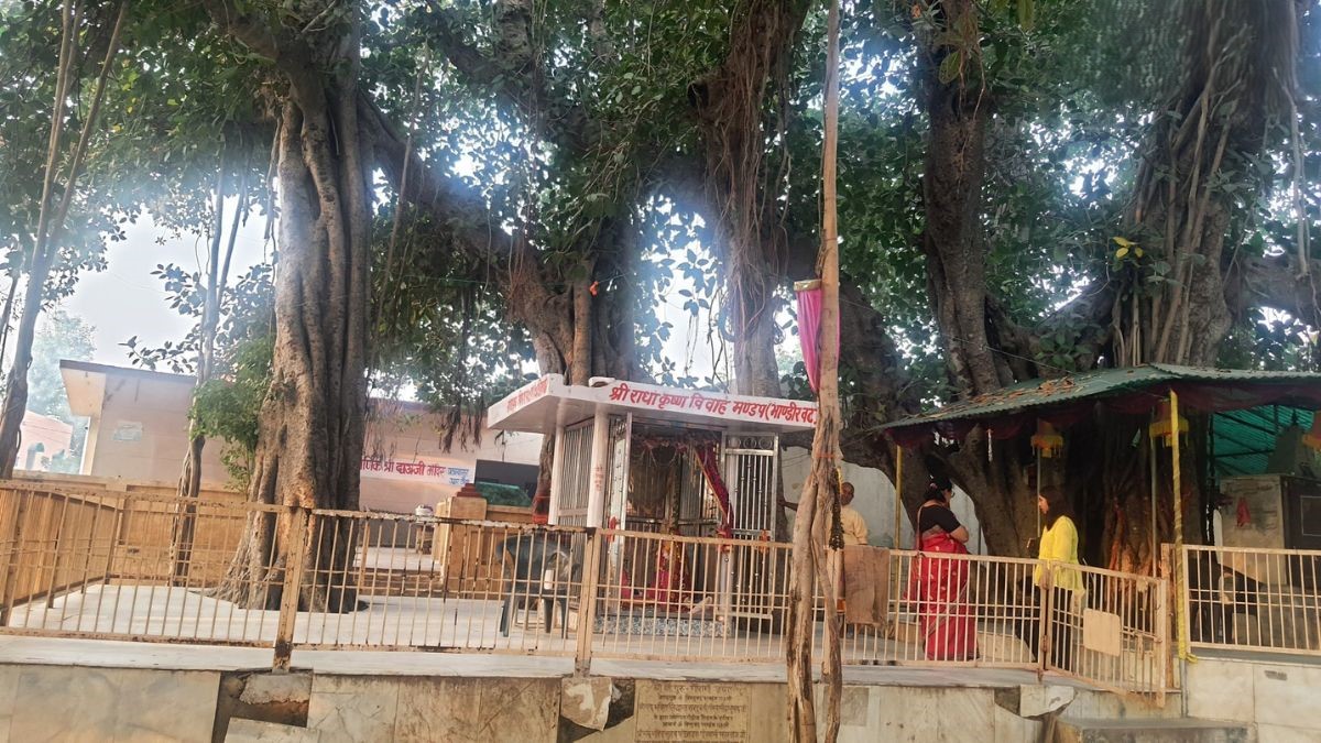 क्या है भांडीरवन का रहस्य, क्यों हर कोई नहीं पहुंच पाता यहां?