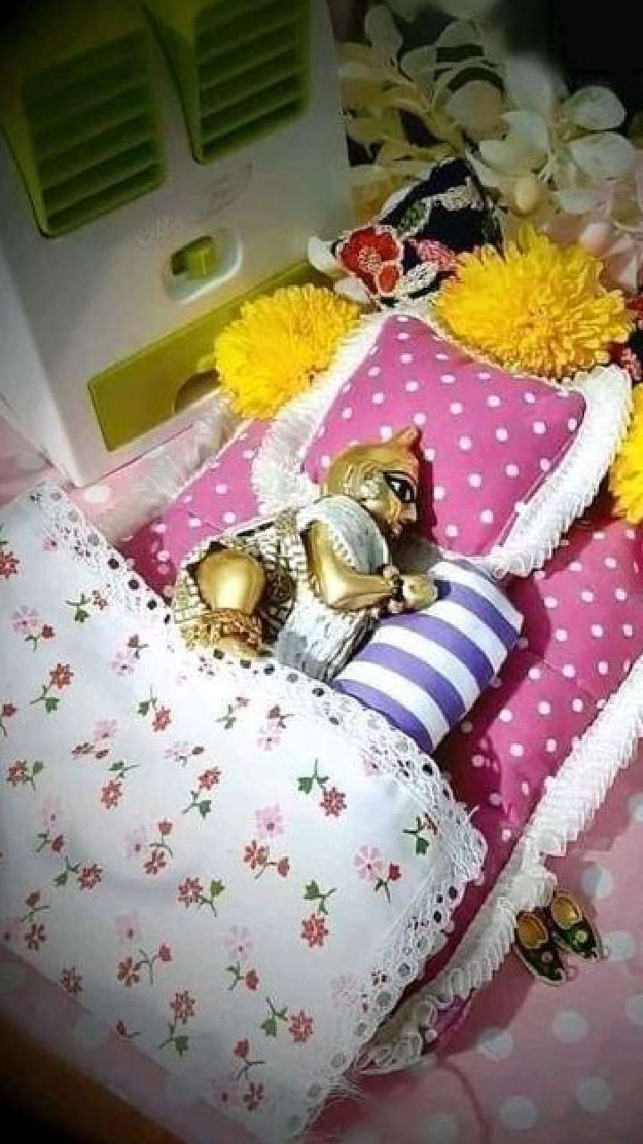 laddu gopal ko sulate samay unke paas kaun si cheez honi chahiye
