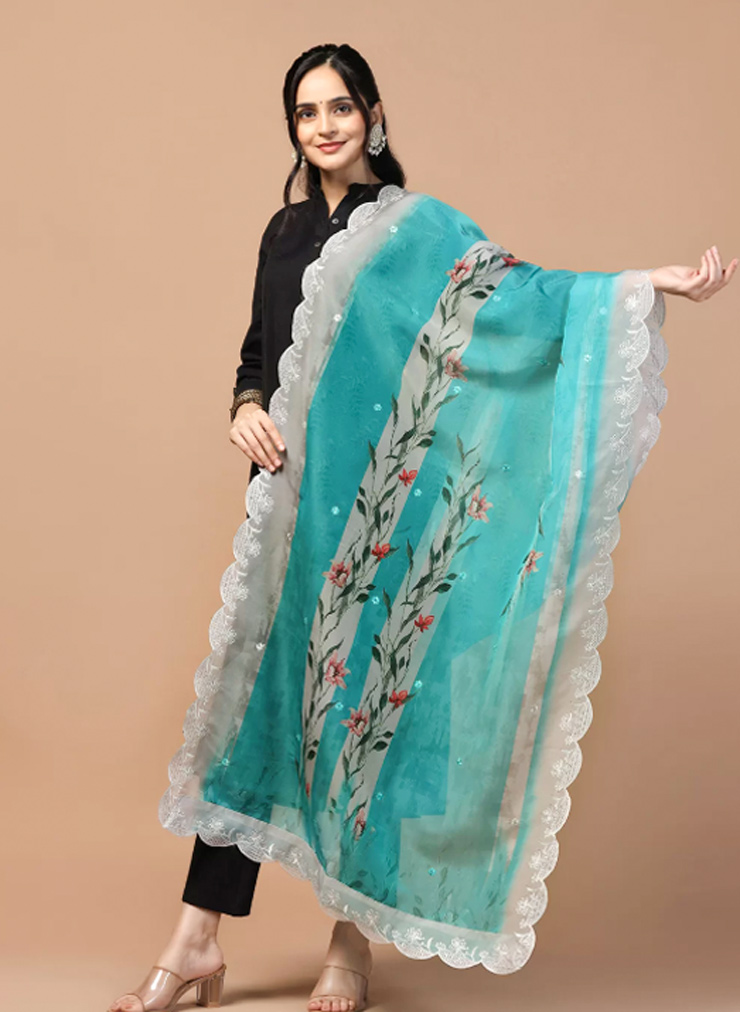 dupatta designs (10)