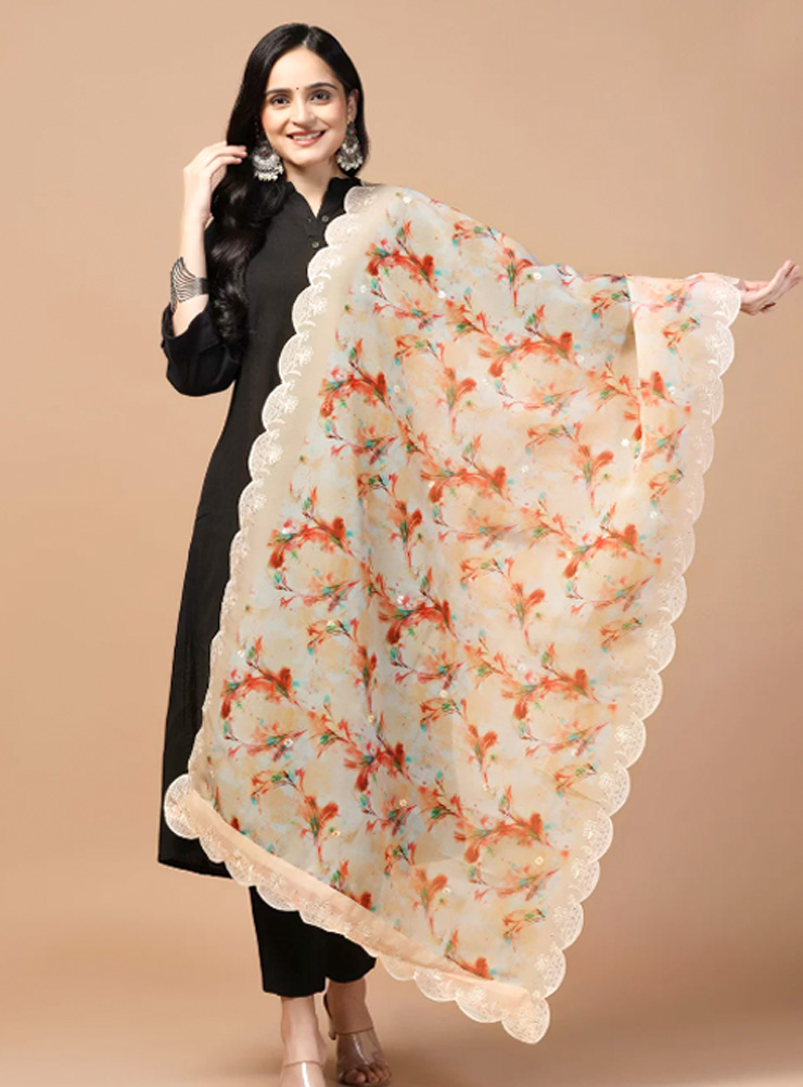 dupatta designs (11)