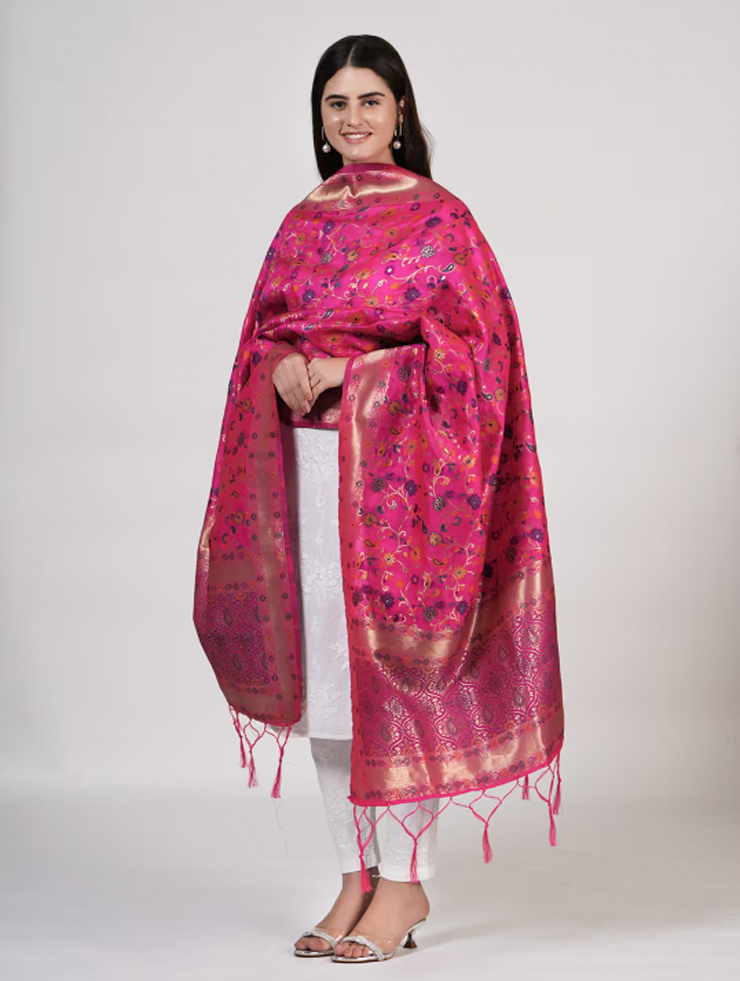 dupatta designs (8)
