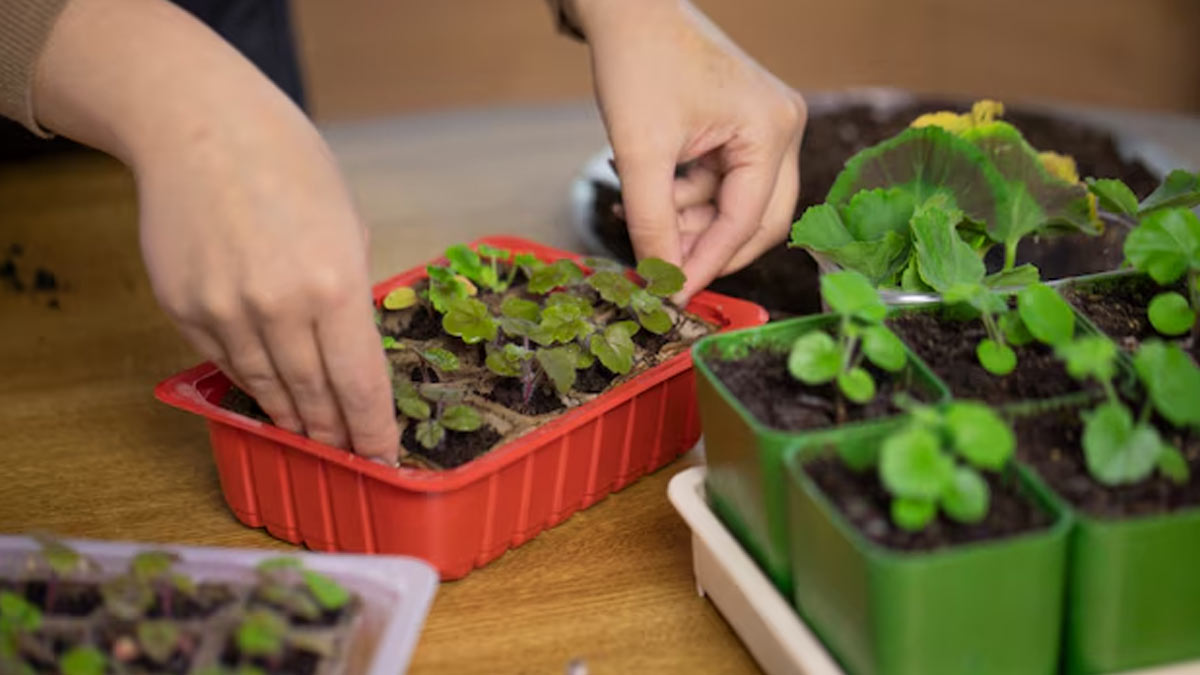 Take care of these things also