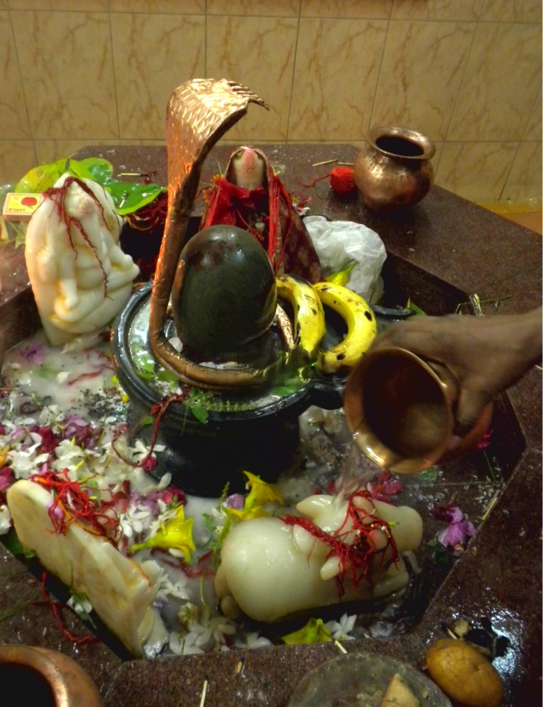 maha shivratri 2025 shivling rudrabhishek ki puja