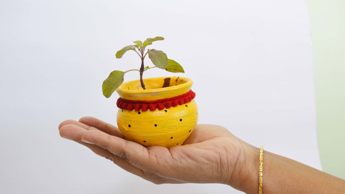 tulsi-plant-at-the-time-of-house-warming-1732705657278
