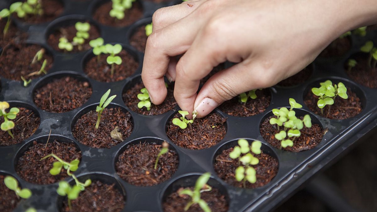 about khetar green tech company