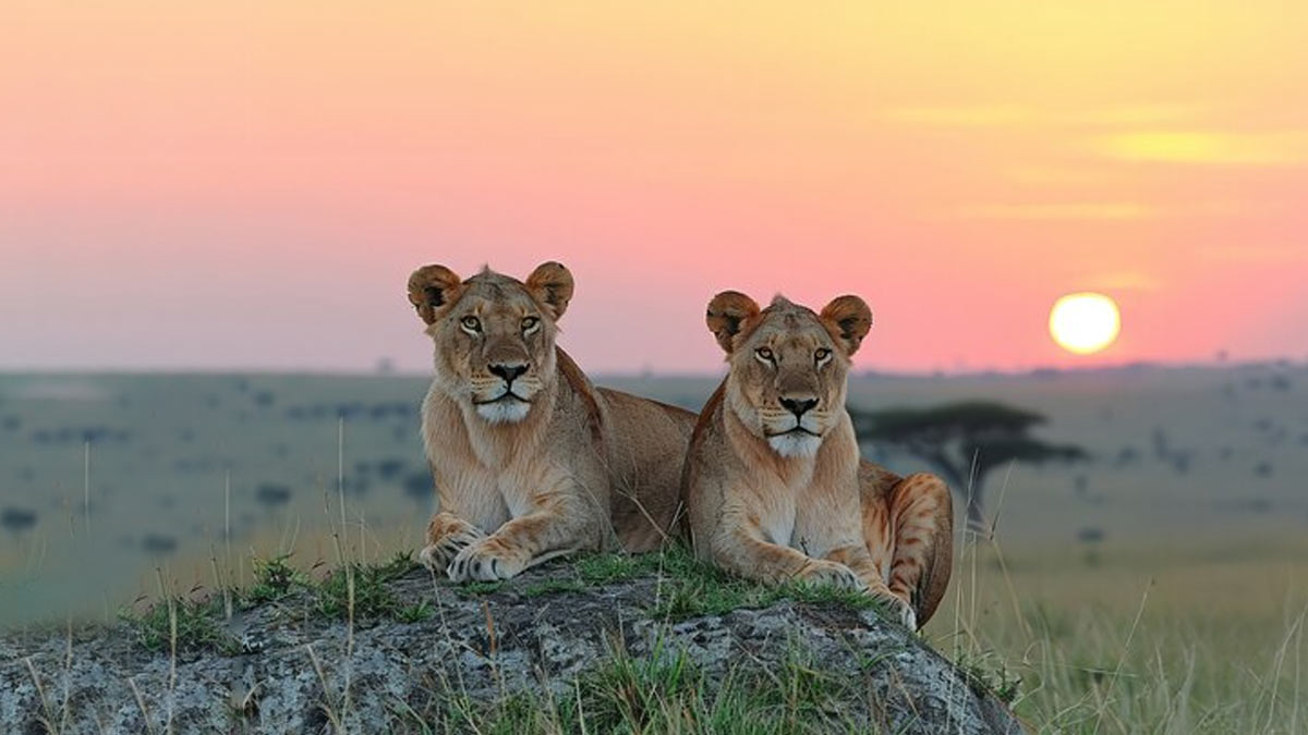 top 3 famous national parks which are open in march