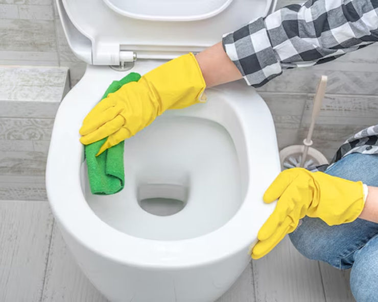 how to clean toilet seat