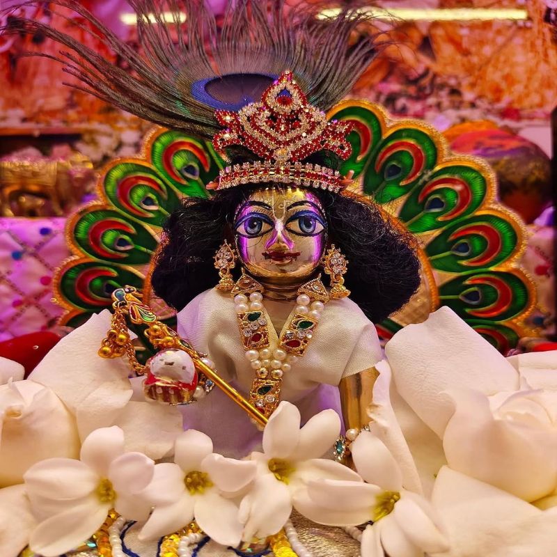 rangbhari ekadashi 2025 offering colour muhurat