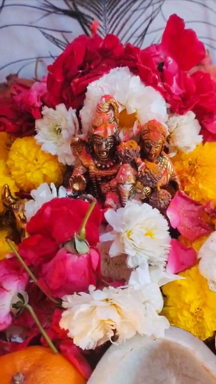 rangbhari ekadashi 2025 pr kya jyotish upay kare